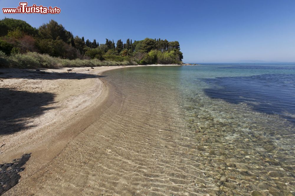 Immagine La spiaggia dei Bagni di Domiziano a Porto Santo Stefano, siamo all'Argentario in Toscana  - © Andrea de Maria / Proloco Monte Argentario