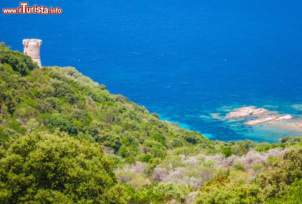 Immagine La baia di Cupabia e Torre Campanella costa ovest della Corsica