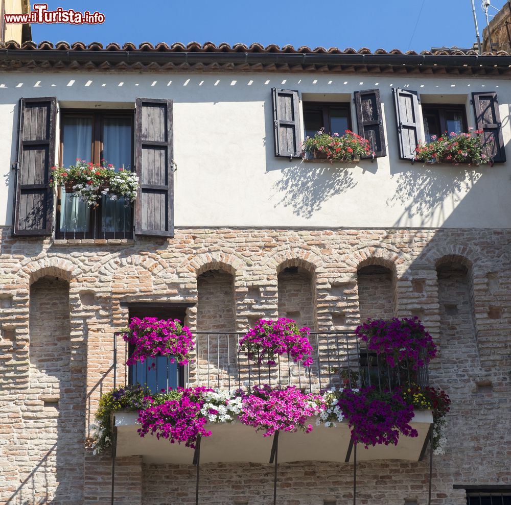 Immagine Balconi e finestre fiorite in una vecchia casa di Jesi, provincia di Ancona. Posizionata lungo il corso medio del fiume Esino, questa località è la più importante della Vallesina.