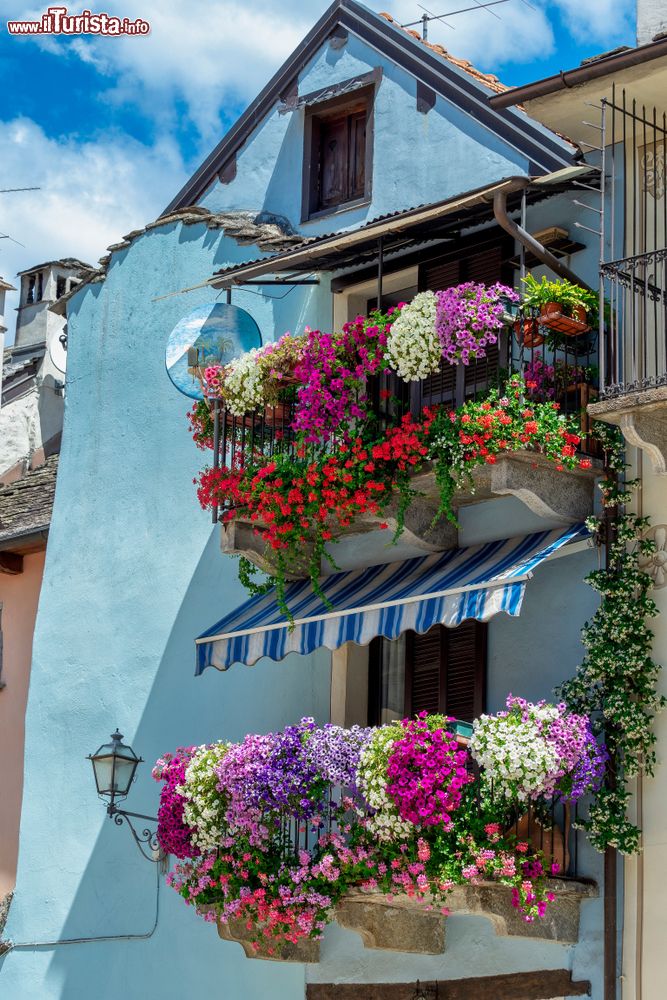 Immagine Balconi fioriti di un edificio nel centro abitato di Domodossola, Piemonte.