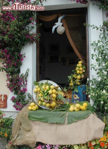 Immagine Bancarella alla Festa del lImone di Monterosso in Liguria - @ Pro Loco Monterosso