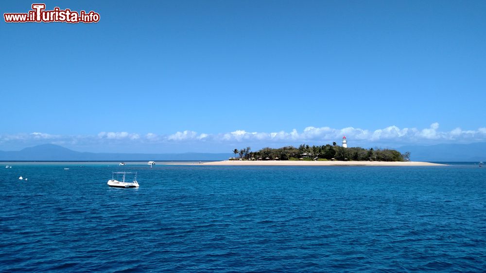 Immagine Banco di sabbia nelle Low Isles a Port Douglas, Barriera Corallina, Australia.