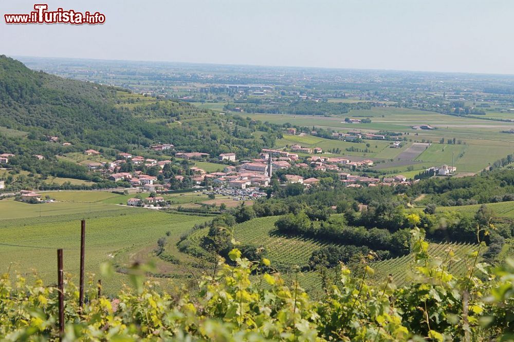 Immagine Baone fotografato dal Monte Cero sui Colli Euganei in Veneto - © G.F.S. - Wikipedia