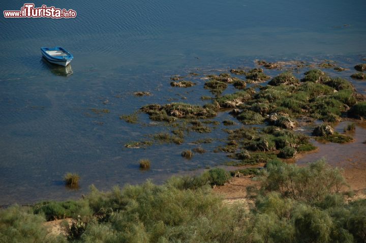 Immagine Barca da pesca ormeggiata nel lago a Cacela Velha, nel sud del Portogallo -  Ancorata fra le acque blu intenso di questo piccolo lago nei pressi di Cacela Velha, una barca ricorda che un tempo l'unica attività di questa zona del Sotavento Algarvio era la pesca. Oggi il turismo rappresenta una preziosa fonte di entrata economica e vista la bellezza dei paesaggi costieri non c'è da stupirsi © Agostinho Goncalves / Shutterstock.com