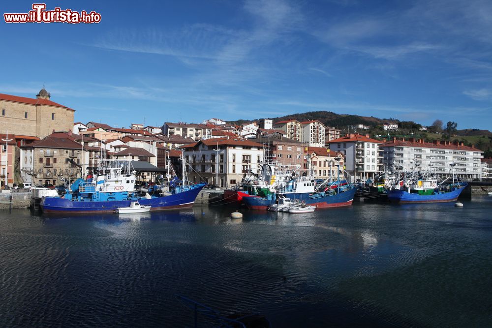 Immagine Barche da pesca al porto di Orio, cittadina nella provincia di Guipuzcoa, Paesi Baschi, Spagna.