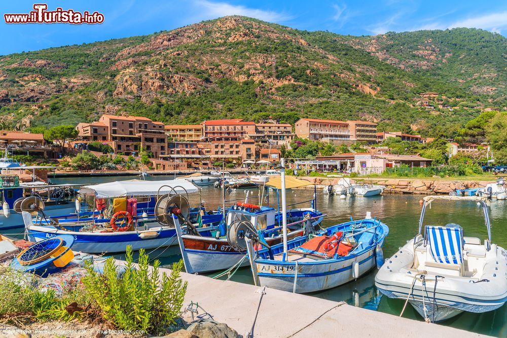 Immagine Barche da pesca colorate ormeggiate alla marina di Porto, Corsica. Questa località, frazione del Comune di Ota, è stata per decenni lo sbocco sul mare del capoluogo. Oggi è un'apprezzata meta turistica  - © Pawel Kazmierczak / Shutterstock.com