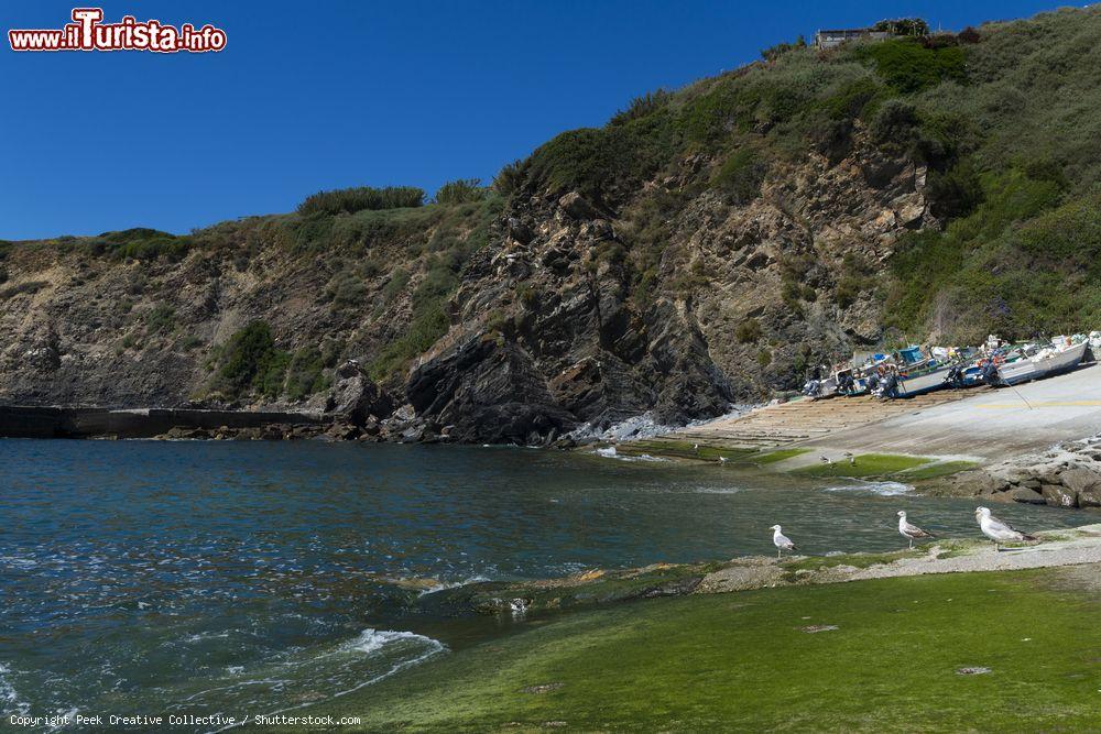 Immagine Barche da pesca ormeggiate al porto di Azenha do Mar vicino a Odemira, Portogallo - © Peek Creative Collective / Shutterstock.com