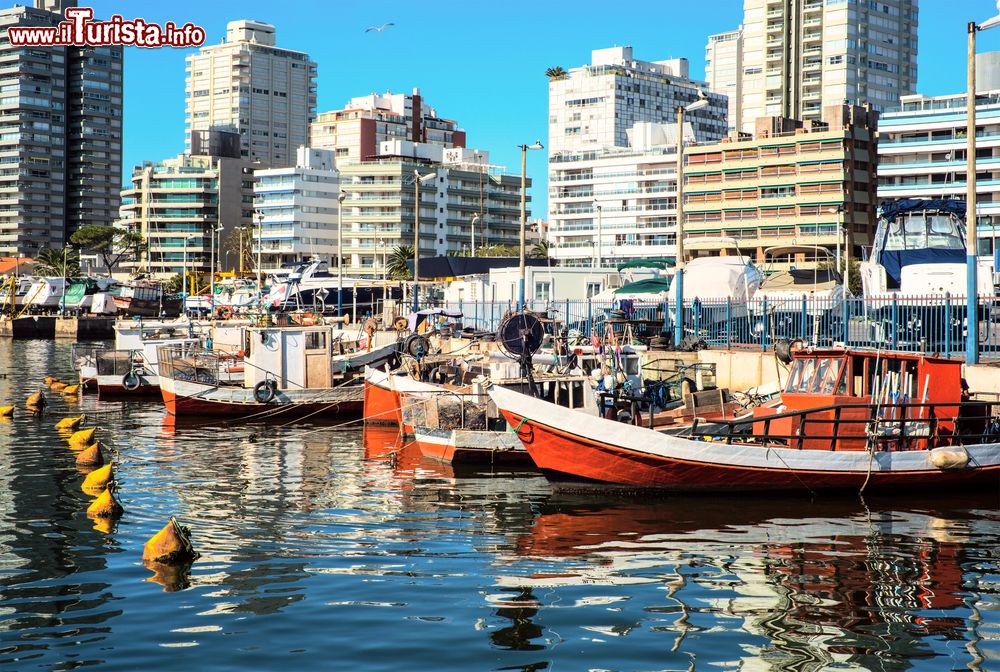 Immagine Barche da pesca ormeggiate al porto di Punta del Este, Uruguay.