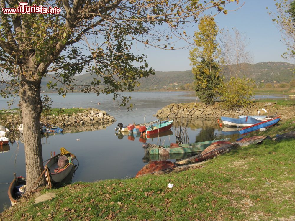 Immagine Barche da pesca sul Lago Trasimeno a Torricella, Magione (Umbria)