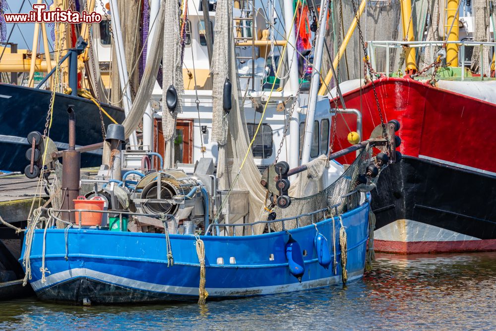 Immagine Barche di pescatori di gamberi nel porto di Lauwersoog in Olanda