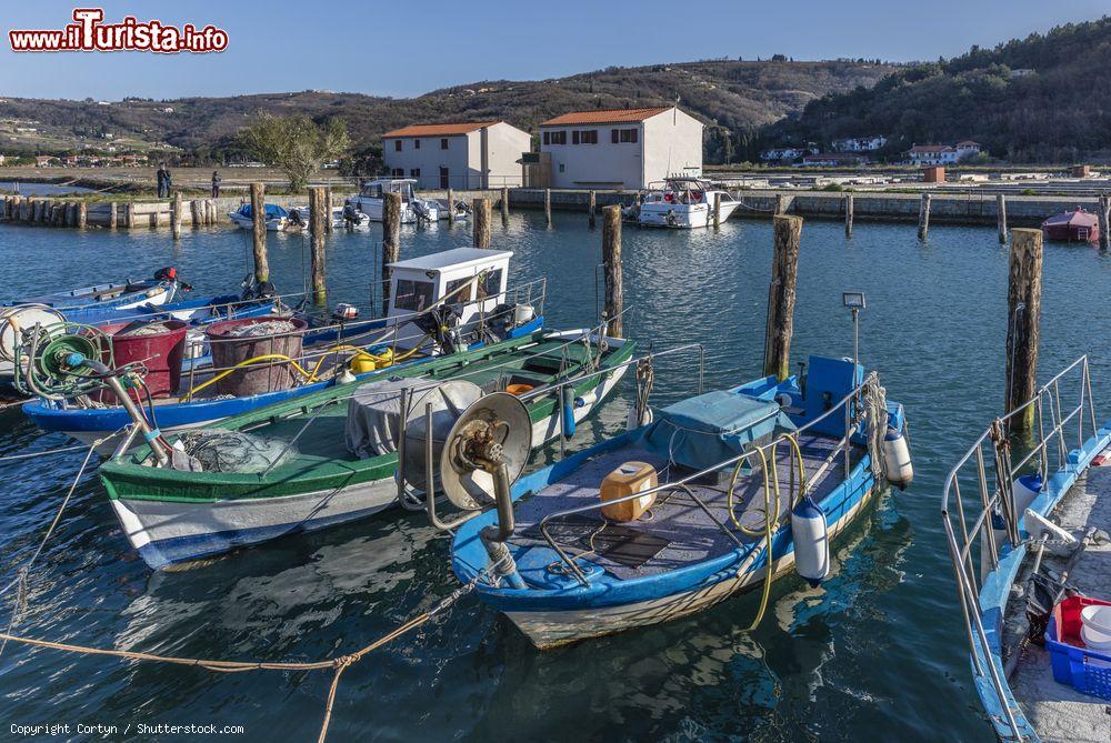 Immagine Barche di pescatori nel porto di Strunjan in Slovenia, in Istria - © Cortyn / Shutterstock.com