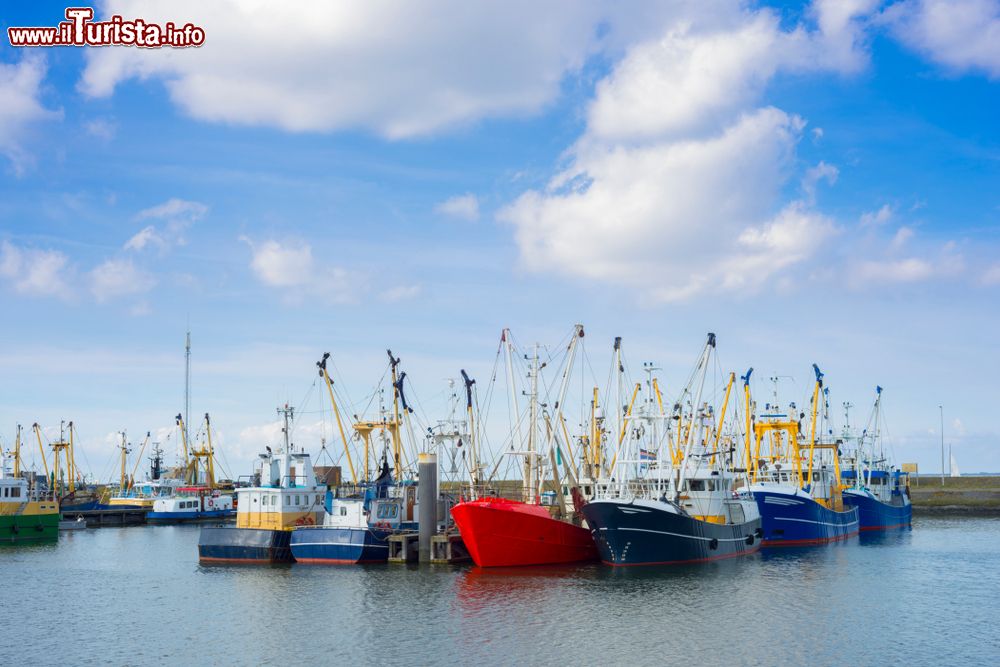 Immagine Barche di pescatori nella baia di Lauwersoog in Olanda, Mare di Wadden