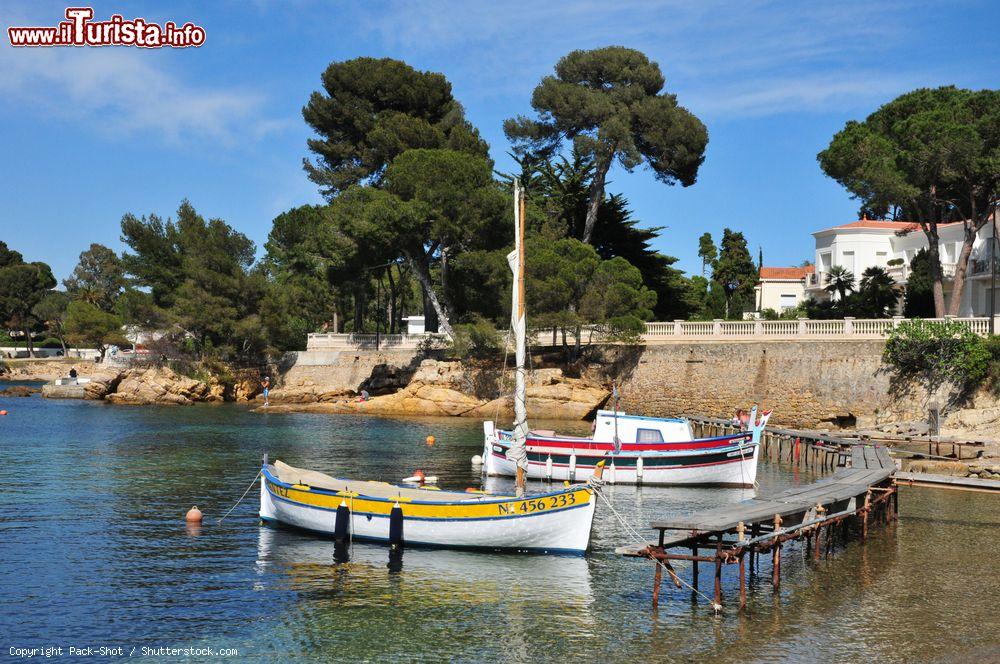 Immagine Barche nel porto di Juan-les-Pins vicino ad Antibes in Costa Azzurra - © Pack-Shot / Shutterstock.com