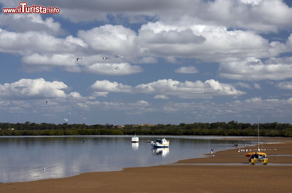 Immagine Barche nella baia di Hervey Bay con la bassa marea, Australia.