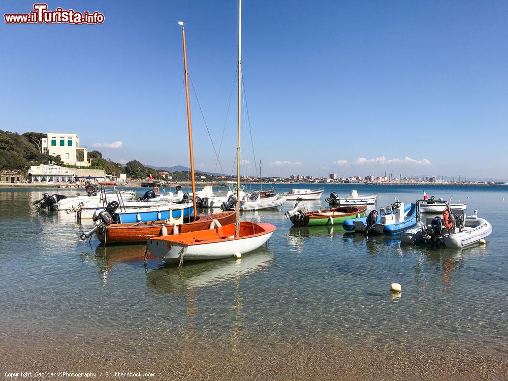 Immagine Barche ormeggiate al piccolo porto di Castiglioncello, provincia di Livorno, Toscana - © GagliardiPhotography / Shutterstock.com