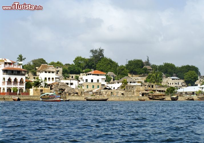 Immagine Barche ormeggiate a Lamu, la principale città dell'isola - il mare di Lamu è famoso in tutto il Kenya per la sua bellezza e uno dei modi migliori per goderne, è fare un giro su un dhow, o sambuco, l'imbarcazione in legno tipica della zona e dell'Africa orientale che possiamo notare nella foto, a fianco ad altre barche da pesca. - © Byelikova Oksana / Shutterstock.com