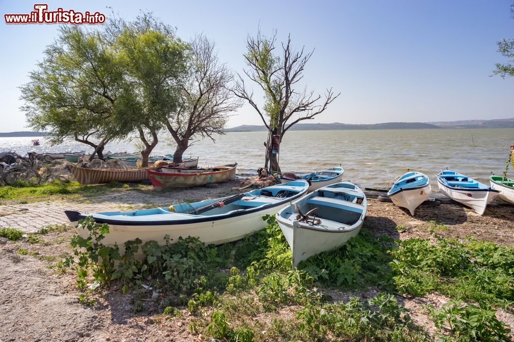 Immagine Barche vicino al lago Uluabat nel villaggio di Golyazi, Bursa, Turchia.