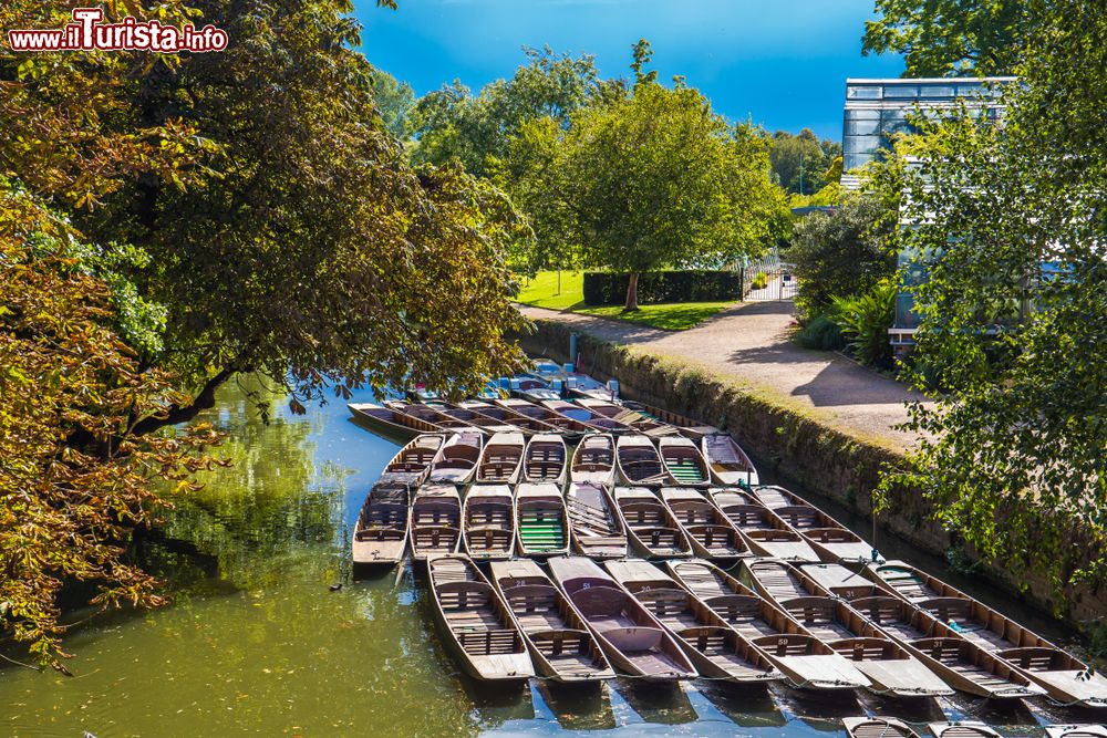 Immagine Barchette ormeggiate sul fiume Tamigi a Oxford, Inghilterra (UK).