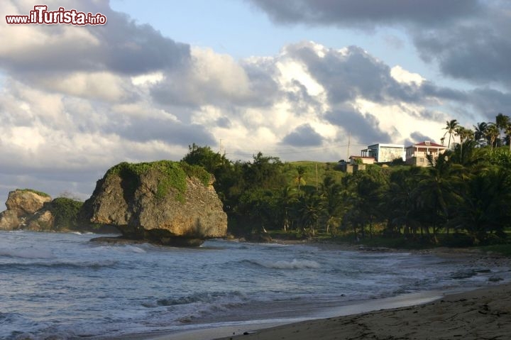 Immagine la costa di Bathsheba,  Barbados orientale, presenta alternanze di rocce e sabbie - Fonte: Barbados Tourism Authority