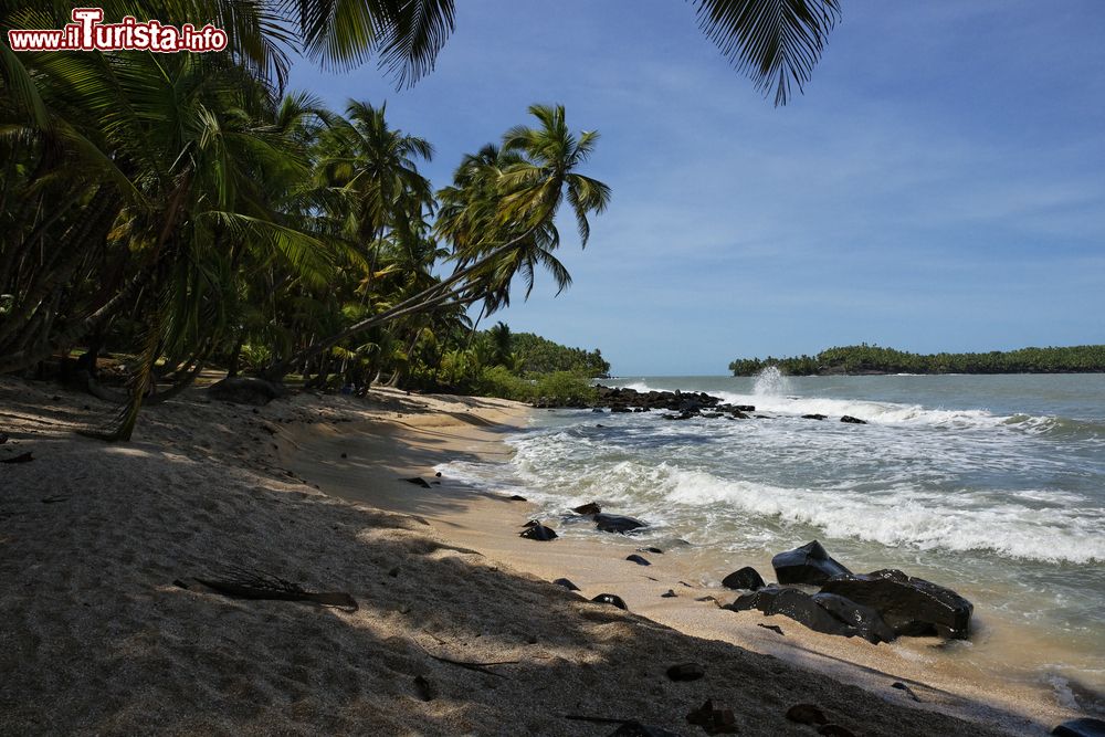 Immagine Un bel paesaggio della Guyana Francese. Palme, spiaggia dalla sabbia finissima e acque cristalline.