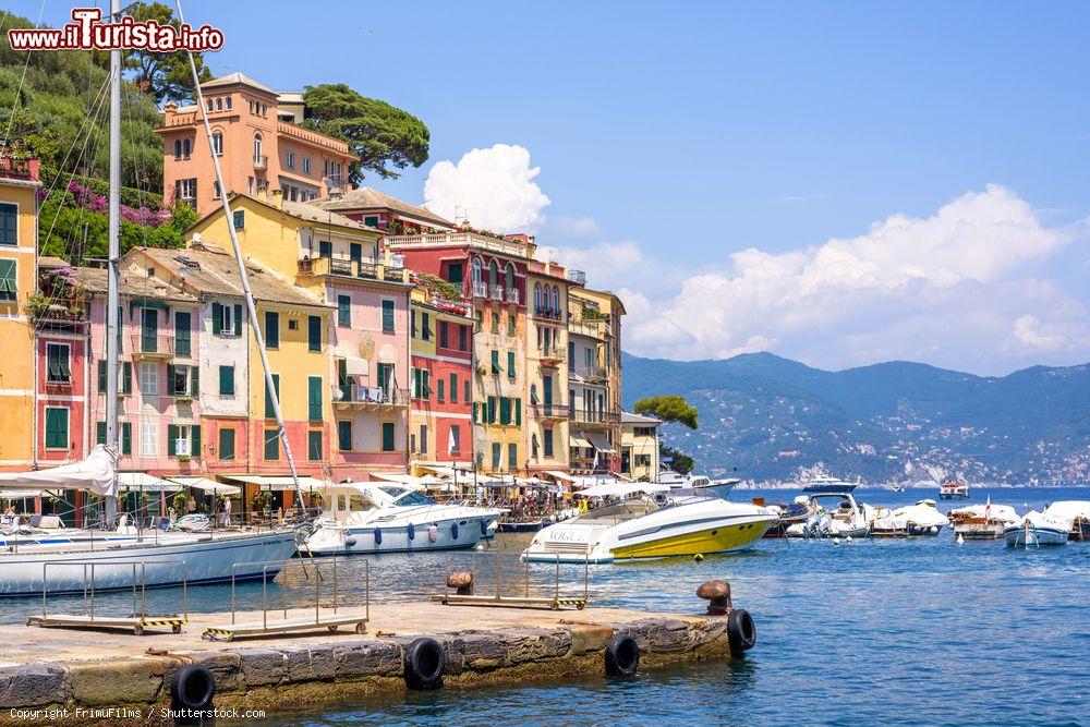 Immagine Un bel panorama sulle case di Portofino e sulle barche in mare, Genova, Liguria - © FrimuFilms / Shutterstock.com
