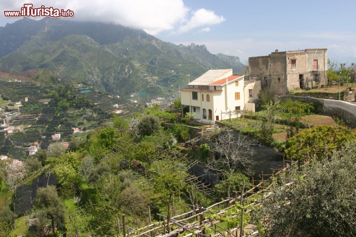 Immagine La bella costiera amalfitana, Campania. Siamo nelle vicinanze di Minori e Ravello. Si estende per circa 50 chilometri a sud della Penisola Sorrentina: è caratterizzata da ripide scogliere e da una costa frastagliata - © Irina Korshunova / Shutterstock.com