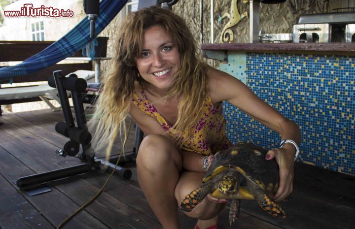 Immagine Una bella turista con un esemplare di tartaruga sull'isola di Curacao, Antille olandesi.