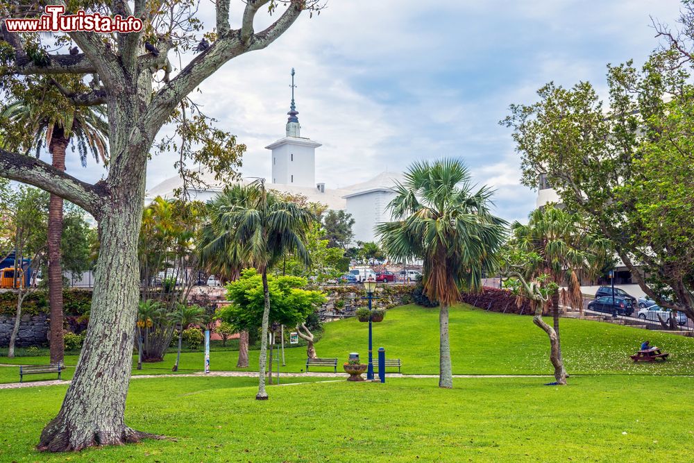 Immagine Una bella veduta di Victoria Park nel centro di Hamilton, isola di Bermuda. Nonostante le dimensioni ridotte dell'abitato, Hamilton ospita numerose aree verdi fra cui, la più famosa, Victoria Park, un tempo dedicata alla regina Vittoria.