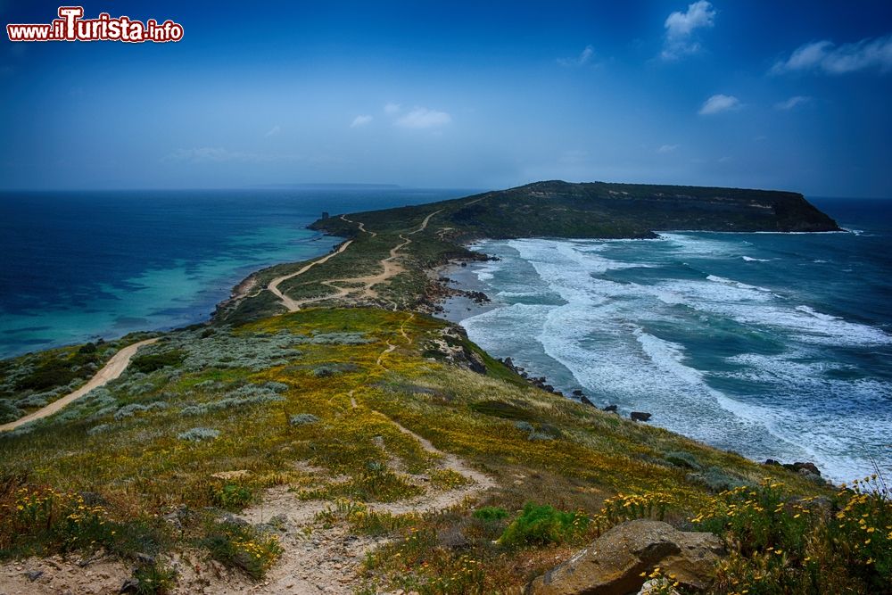 Immagine Una bella veduta panoramica dall'alto di Capo San Marco, Sardegna. Il promontorio si trova nella parte meridionale della pensiola del Sinis che chiude a nord il golfo di Oristano.