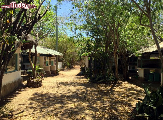 Immagine Bio-Ken Snake Farm, Watamu: questo centro di raccolta dei serpenti studia i rettili e prepara antidoti contro i morsi dei serpenti keniani.