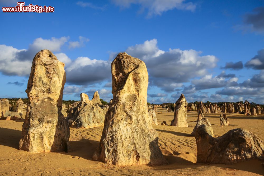 Immagine Bizzarre formazioni rocciose nel Nambung National Park, Western Australia. Quest'area desertica è caratterizzata da pinnacoli di pietra che sbucano dal terreno.