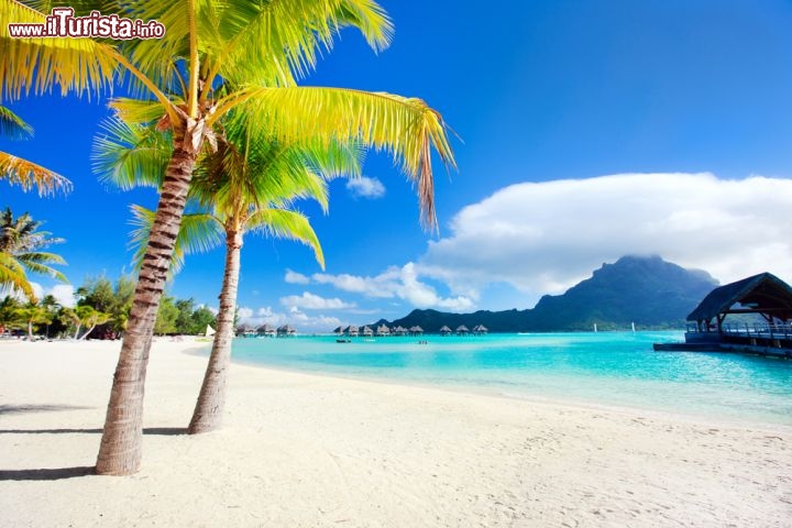 Immagine Bora Bora, Isole della Società, Polinesia Francese: sabbia bianca, acqua turchese, palme e la sagoma del monte Otemanu sullo sfondo... a quest'isola non manca nulla per aggiundicarsi il titolo di paradiso terrestre .- © BlueOrange Studio / Shutterstock.com