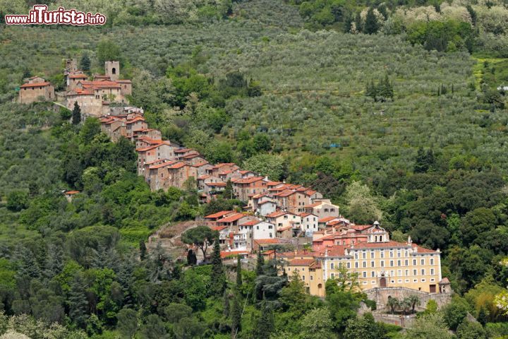 Immagine Il borgo di Collodi si staglia tra le colline in provincia di Pistoia. Qui nacque la madre Carlo Lorenzini, autore di Pinocchio, che scelse il nome di Collodi come pseudonimo - Foto © Malgorzata Kistryn / Shutterstock.com