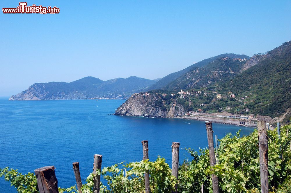 Immagine Il borgo di Corniglia fotografato da Manarola, provincia di La Spezia, Liguria. Corniglia sorge in cima a un promontorio alto circa 90 metri circondato da vigneti.