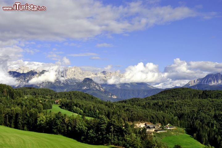 Immagine Boschi e pascoli intorno a Renon Alto Adige- © Matteo Festi / Shutterstock.com