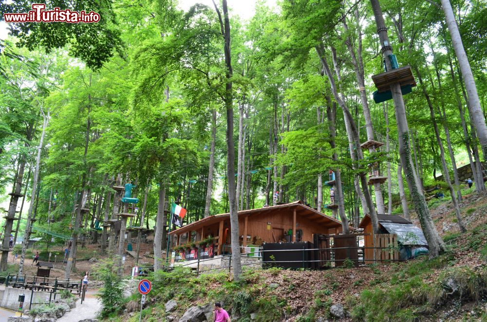 Immagine Il Bosco a Roncola dove si trova il Parco Avventura