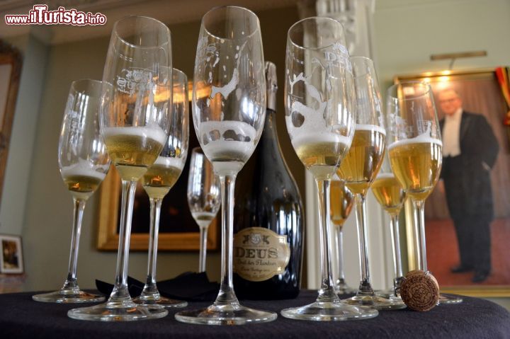 Immagine Calici di birra Bosteels, Fiandre, Belgio. Le caratteristiche di ogni birra vengono esaltate grazie al bichiere scelto per la degustazione.