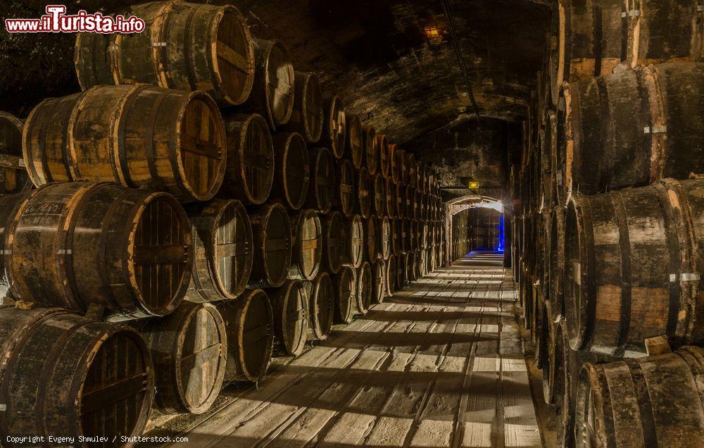 Immagine Botti a riposo nelle cantine Otard, distilleria di Cognac, Nuova Aquitania (Francia) - © Evgeny Shmulev / Shutterstock.com