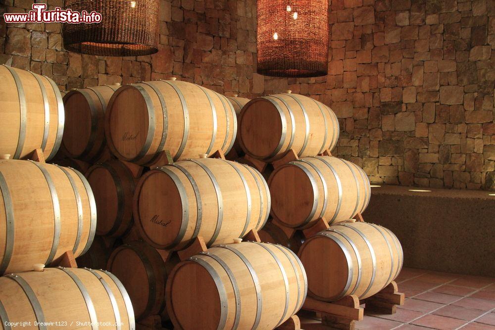 Immagine Botti di liquore pisco in una fabbrica a Pisco Elqui, Cile - © DreamArt123 / Shutterstock.com
