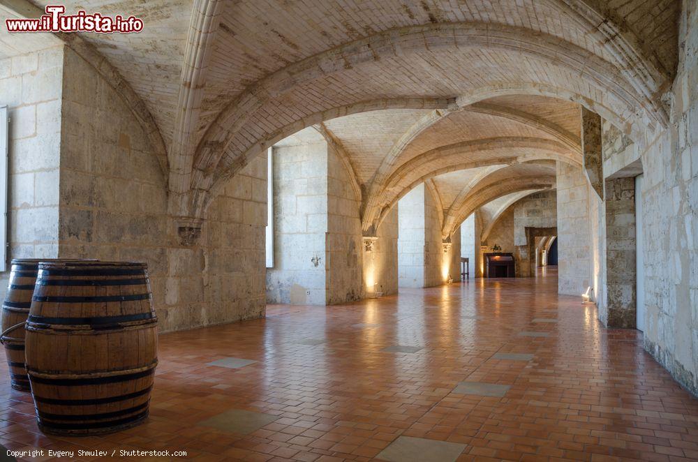 Immagine Botti in legno all'ingresso della distilleria Otard a Cognac, Francia - © Evgeny Shmulev / Shutterstock.com