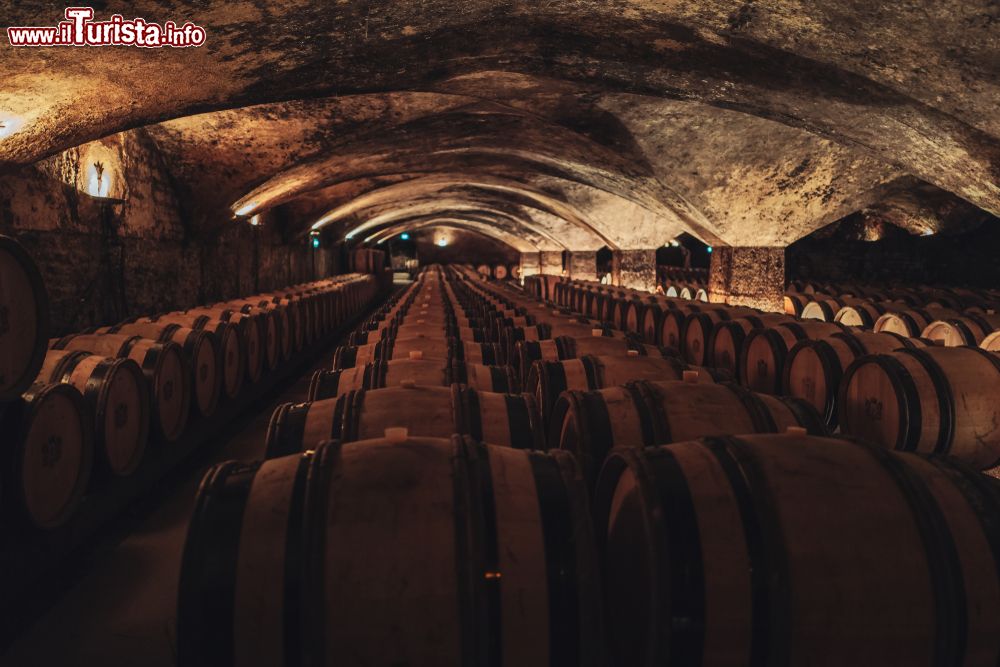 Immagine Botti in legno in una enorme cantina di Beaune, Francia.