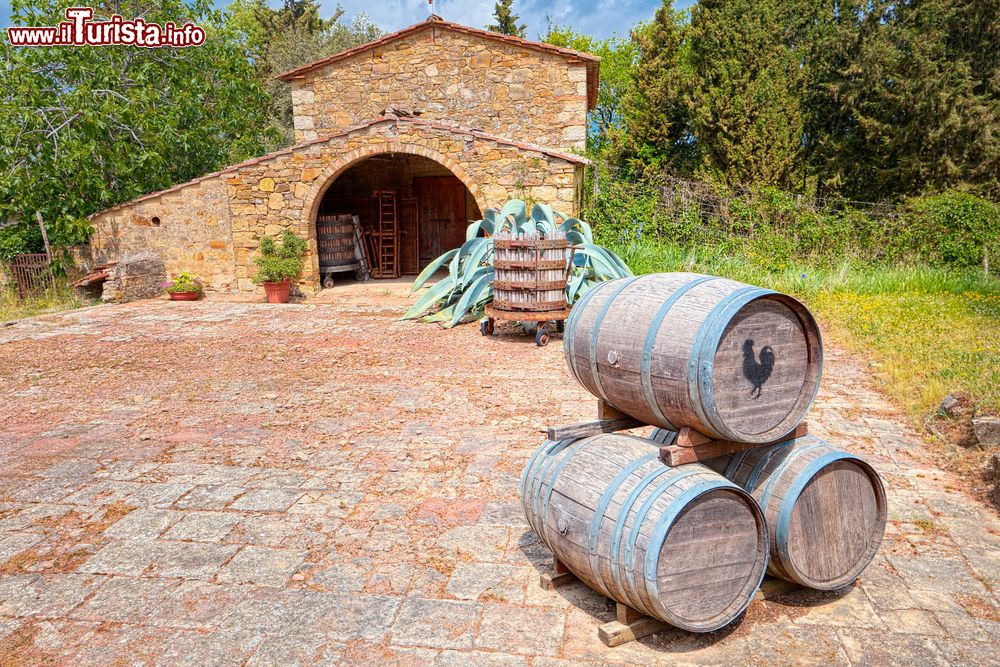 Immagine Botti in legno nel cortile di una cascina di Barberino Val d'Elsa, Toscana.
