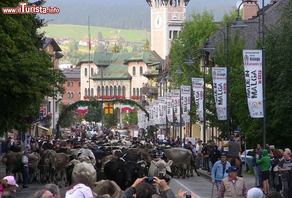 Festa della Transumanza Bressanvido