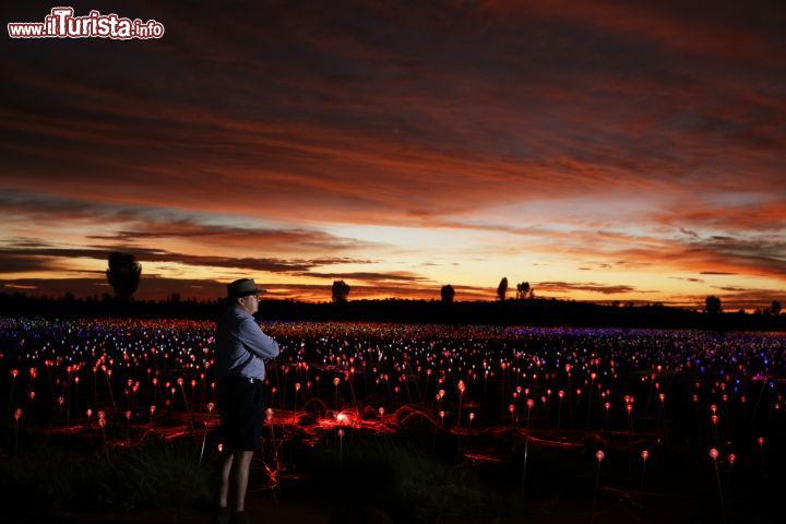 Immagine Bruce Munro e la sua installazione temporanea di Field of Light, nei pressi di Ayers Rock - © Mark Pickthall