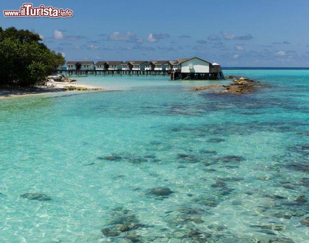 Immagine Bungalow di un resort costruiti sull'acqua trasparente dell'Oceano Indiano nell'Atollo di Baa, isole Maldive - foto © Christoph Weber / Shutterstock.com