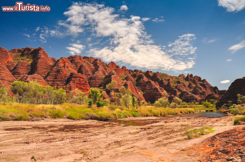 Immagine Bungle Bungles, regione di Kimberely, Western Australia. Qui s'innalzano i "bee hive", formazioni rocciose in arenaria rossa.