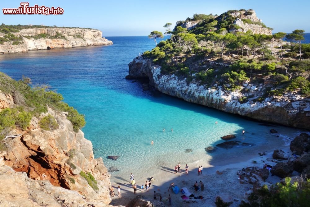 Immagine Le scogliere di Cala Des Moro a Maiorca, isole Baleari, Spagna. Questo tratto di litorale è incassato fra alte pareti con cespugli e ginestre.