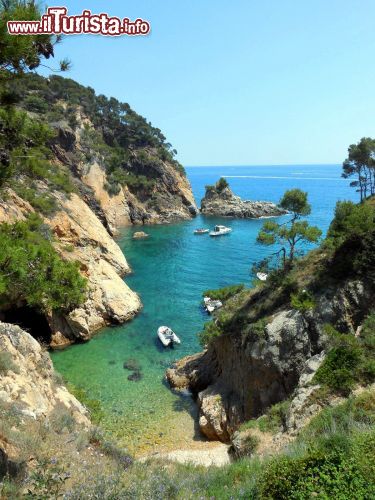 Immagine Cala La Foradada, Costa Brava: un'immagine della cala presa dal promontorio del Castell, che deve il suo nome ai resti, ancora visibili, di un antico insediamento di una popolazione precristiana, gli Iberi.