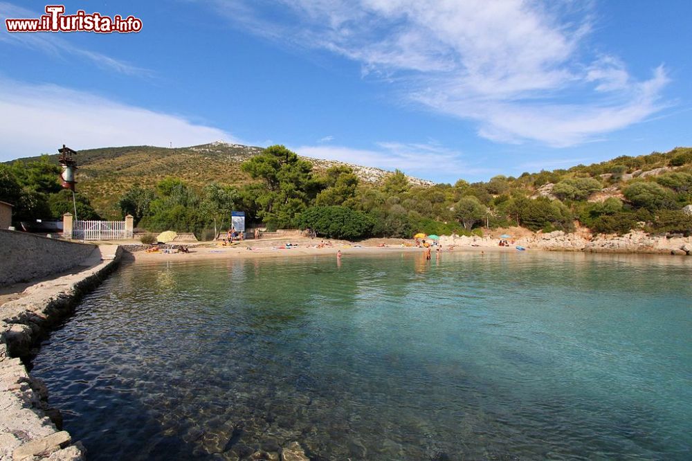 Immagine Cala Moresca una delle spiagge di Golfo degli Aranci in Sardegna - © Carlo Pelagalli, CC BY-SA 3.0, Wikipedia