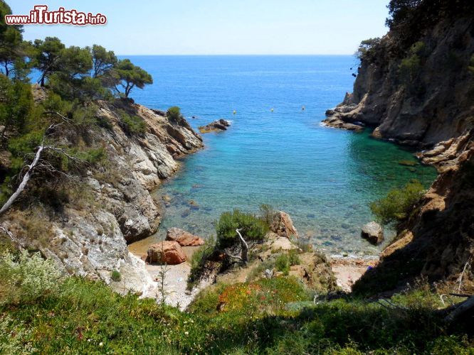 Immagine Cala Sanià, Costa Brava: è una delle tante meravigliose calette dell'area naturale di Castell-Cap Roig, nei pressi di Palamós.